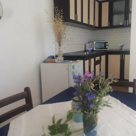 Sunny Apartament Slăntjev Brjag